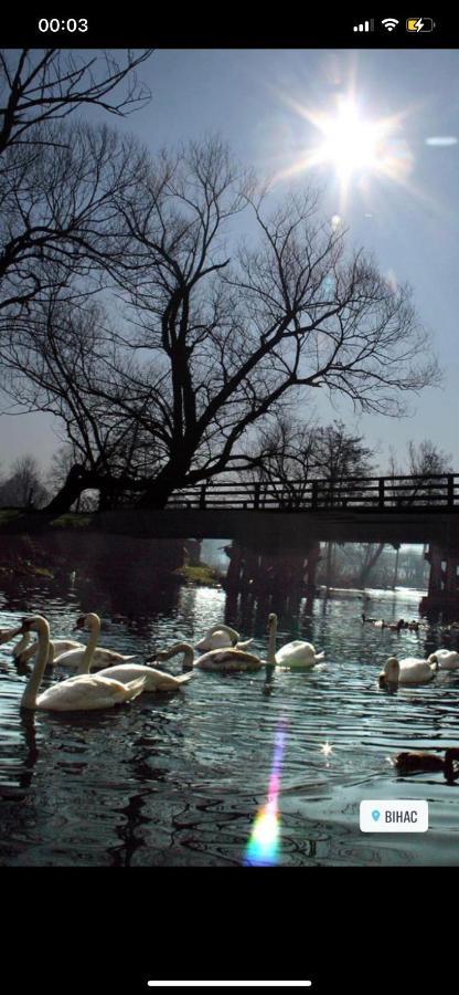 Kartal Centar Apartment Bihać Eksteriør bilde